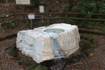 미토현립자연공원 가이라쿠엔 도쿄쿠센 03