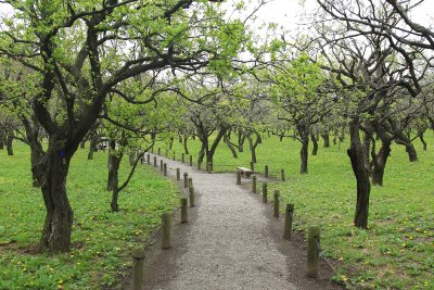 미토현립자연공원 가이라쿠엔 정원 01