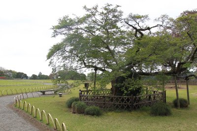 미토현립자연공원 가이라쿠엔 정원 07