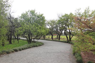 미토현립자연공원 가이라쿠엔 정원 08