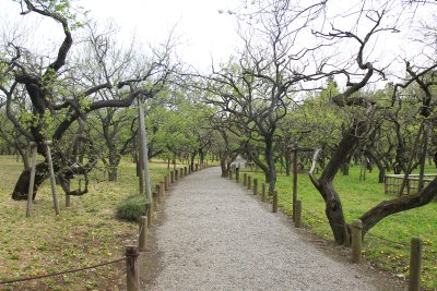미토현립자연공원 가이라쿠엔 정원 10