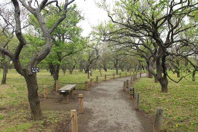 미토현립자연공원 가이라쿠엔 정원 15