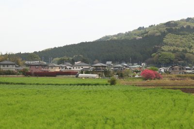 사쿠라가와 시 06