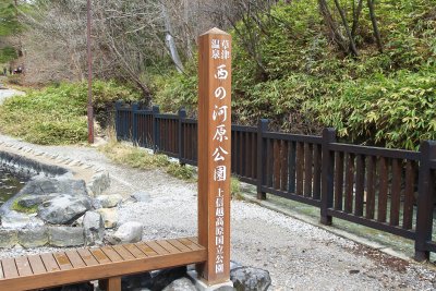 사이노카와공원 16