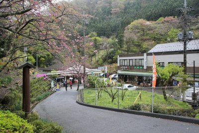 오쿠쿠지 현립자연공원 10