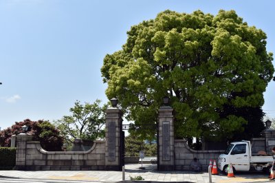 요코하마 야마테 외국인묘지 04
