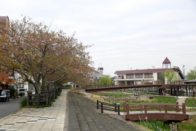 스이고이타코아야메 공원 10