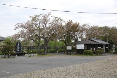 스이고이타코아야메 공원 11
