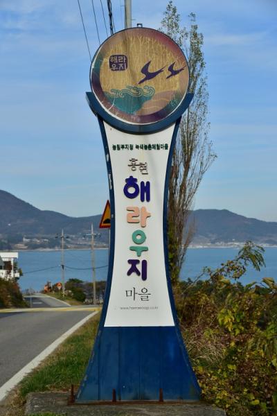 홍현1리마을 - 홍현해라우지마을 19