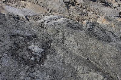 화순 서유리 공룡발자국 화석산지