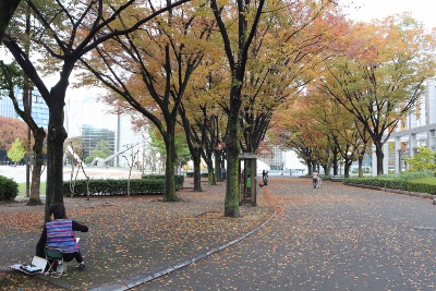 시라카와 공원 05