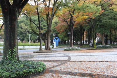 시라카와 공원 11