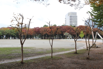 시라카와 공원 16