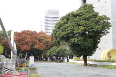 시라카와 공원 18