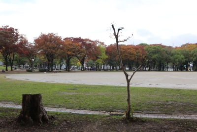 시라카와 공원 19