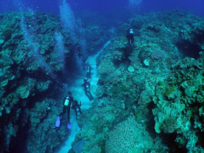요론섬 해저 다이빙 01