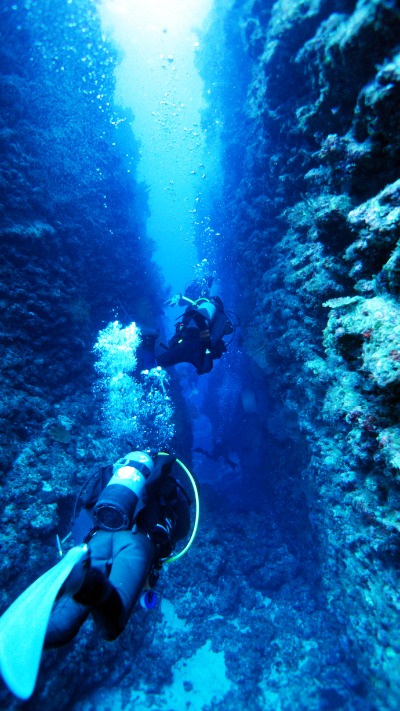 요론섬 해저 다이빙 08