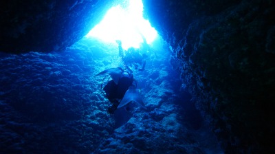 요론섬 해저 다이빙 09