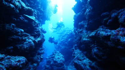 요론섬 해저 다이빙 10