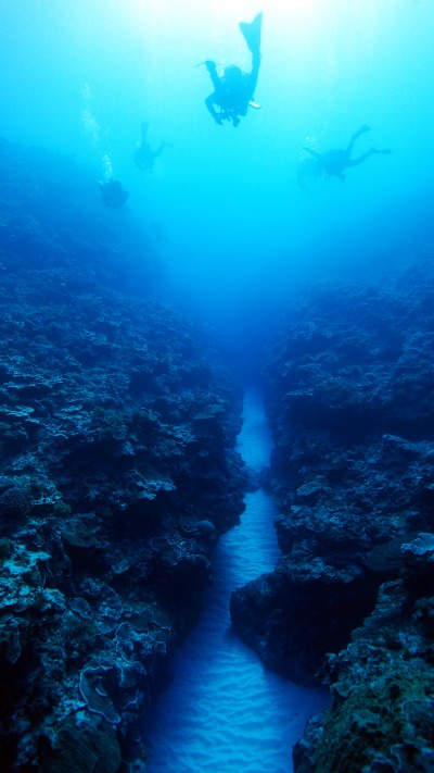 요론섬 해저 다이빙 11