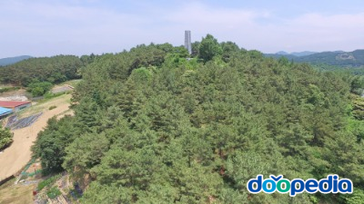 비호산 근린공원 인삼탑