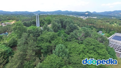 비호산 근린공원 인삼탑