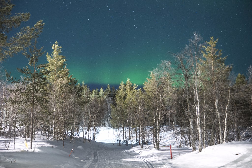 핀란드 오로라 숲 (3).jpg