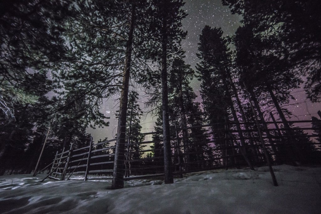 라플란드의 밤 (8).jpg