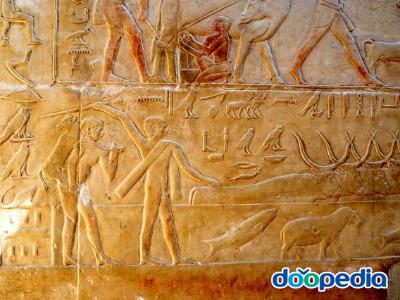 사카라 피라미드 내부 벽화 (소키우는 이집트인)