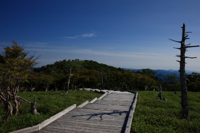 오다이가하라산 등산로 12
