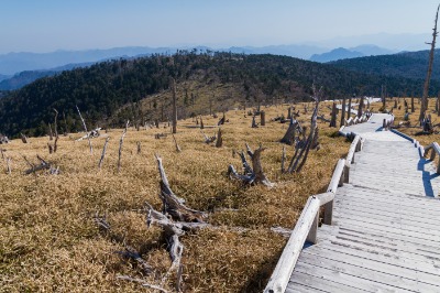 오다이가하라산 등산로 15