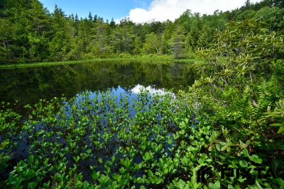 노리쿠라다케, 우시도메 연못
