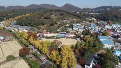 음봉초등학교 10
