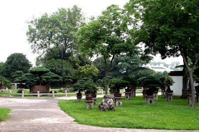 상하이 식물원 09
