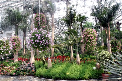상하이 식물원 온실 09