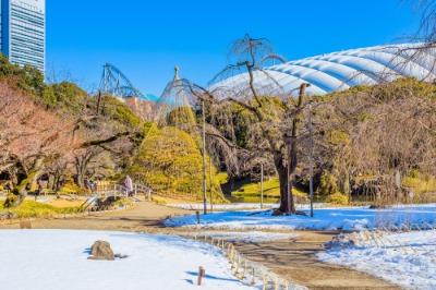 고이시카와 고라쿠엔, 겨울 풍경 10