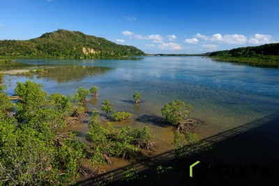 이리오모테섬, 우라우치강