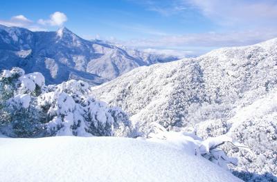 세쿠아 국유림의 겨울풍경 01