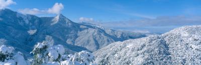 세쿠아 국유림의 겨울풍경 09