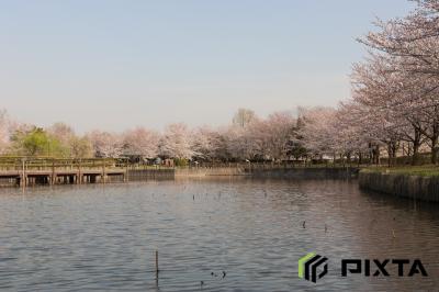 고다이하스노사토의 봄 풍경