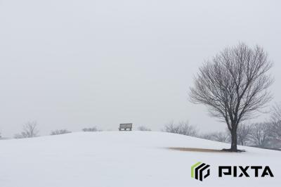 고다이하스노사토의 겨울 풍경