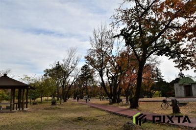 ​와코주린공원의 가을 풍경