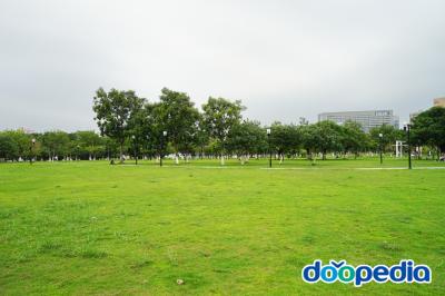 동관시청 잔디광장