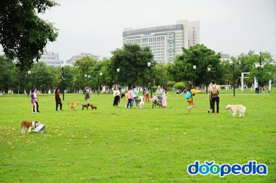 동관시청 잔디광장