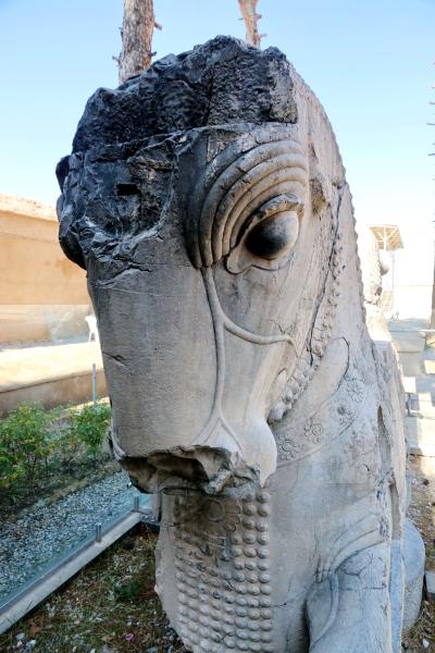 페르세폴리스, 페르세폴리스의 하렘 11