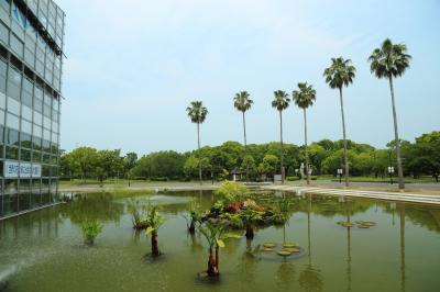 하나하쿠기념공원츠루미녹지, 사쿠야코노하나관 앞 연못 02