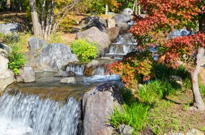 하나하쿠기념공원츠루미녹지, 가을 11