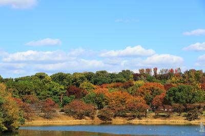 하나하쿠기념공원츠루미녹지, 가을 14