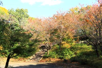 하나하쿠기념공원츠루미녹지, 가을 15