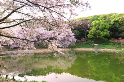 하나하쿠기념공원츠루미녹지, 봄 10